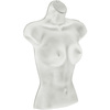 Azar Displays White Plastic Female Bust for Pegboard and Slatwall, PK2 900519-WHT